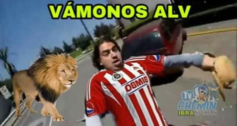 Memes fecha 17 Clausura 2018 Liga MX