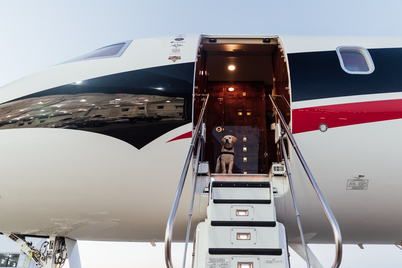Él es Spike, el perro que busca servir como entrenamiento de perros y porta con gusto la playera del Atlanta United. Su misión es ayudar en algún momento a ayudar a un veteranos que lo necesiten.