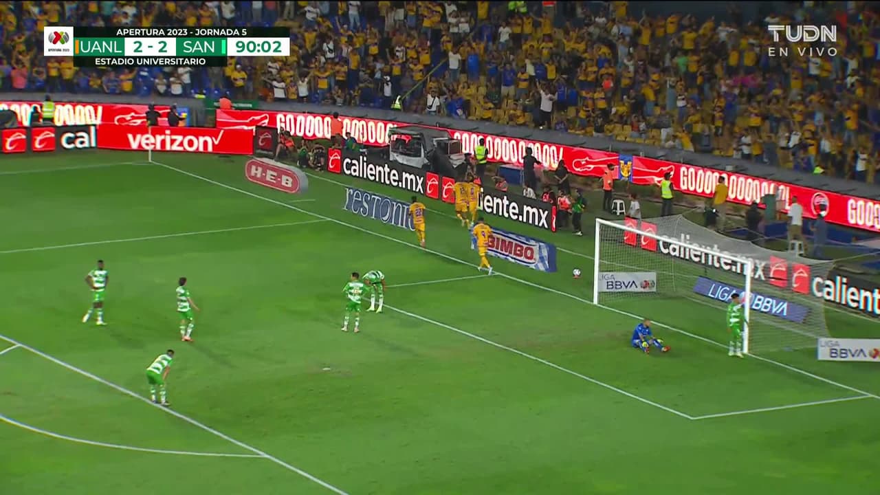 ¡GOL!  anota para Tigres. Juan Vigón