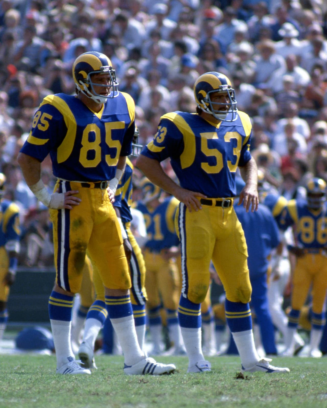 1978 Defensiva número 1 NFL - LOS ANGELES RAMS. Pierde el campeonato de la Conferencia Nacional con los Dallas Cowboys.