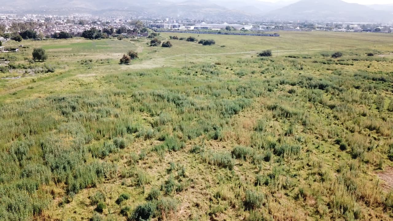 Terreno para la construcción del nuevo Estadio del León