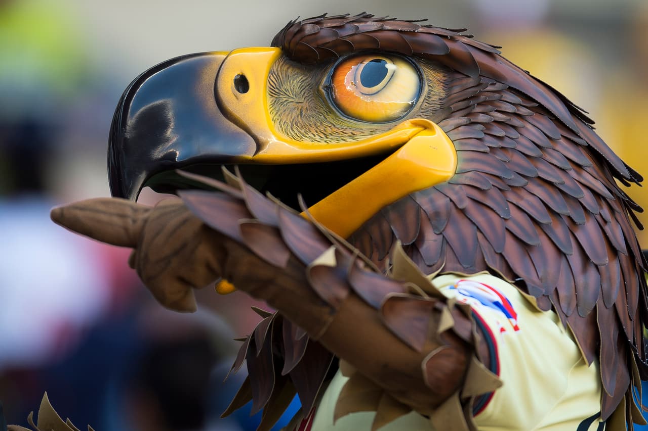 El colorido de la afición en la Jornada 9