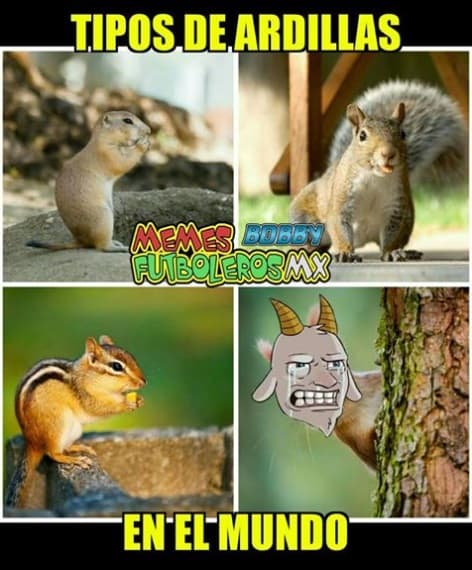 Memes semifinales Apertura 2017