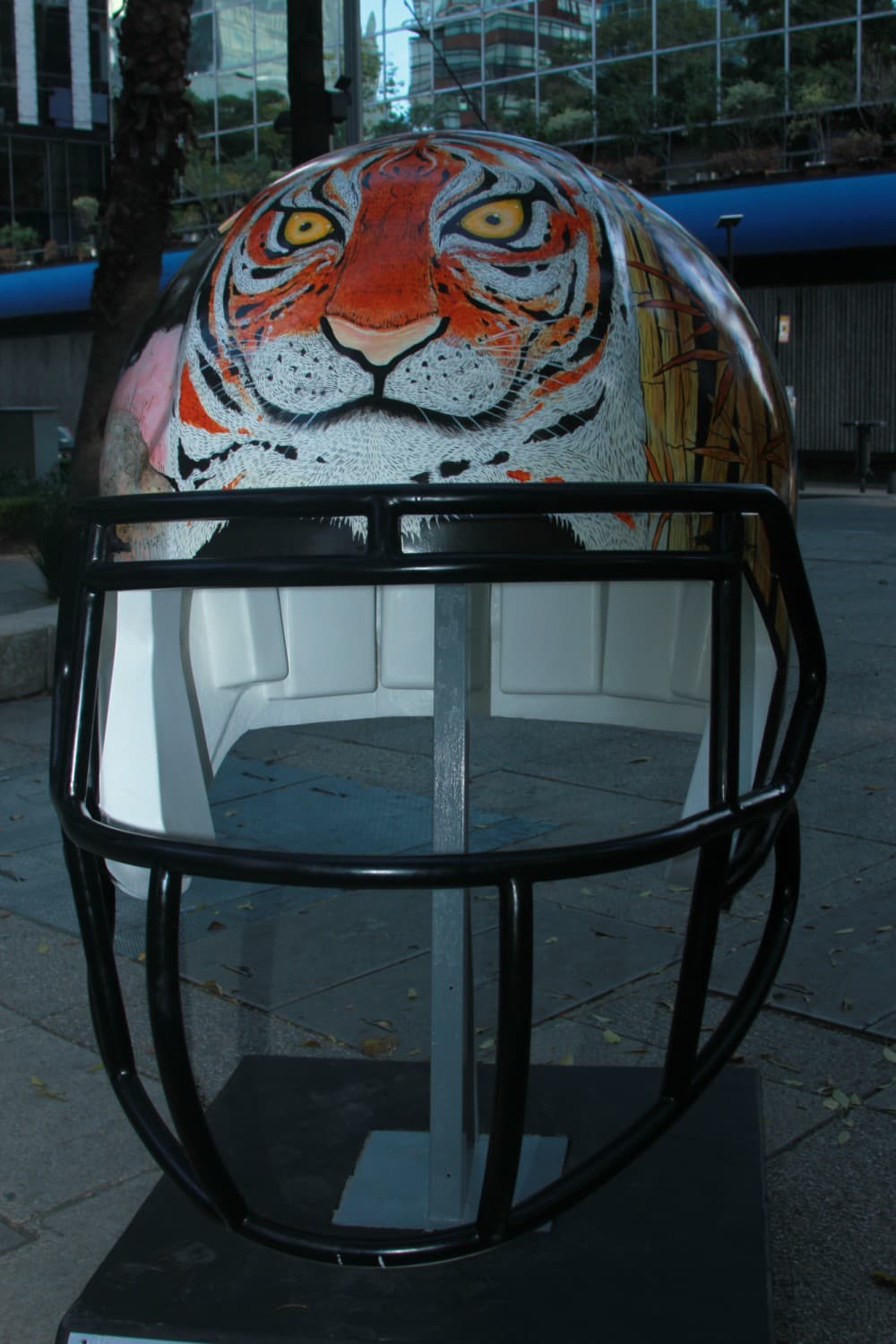 Cincinnati Bengals