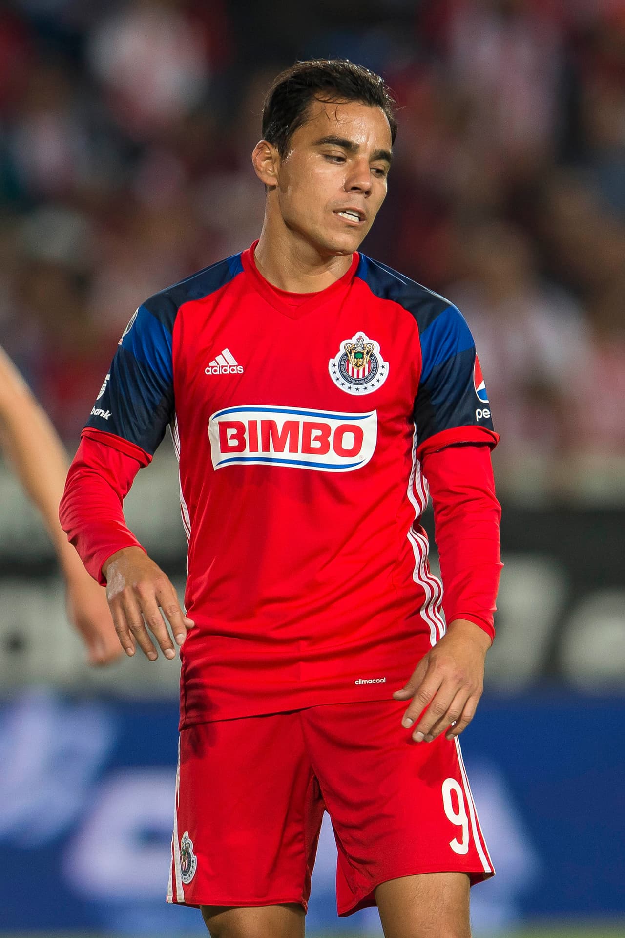 Un ciclo que parece llega a su fin es el de Omar Bravo, a pesar de que el mismo Jorge Vergara había manifestado que deseaba que el delantero se retirara en el Rebaño. José Luis Higuera, CEO del equipo, reveló que el mochiteco no entra en planes del técnico Matías Almeyda para el próximo torneo.