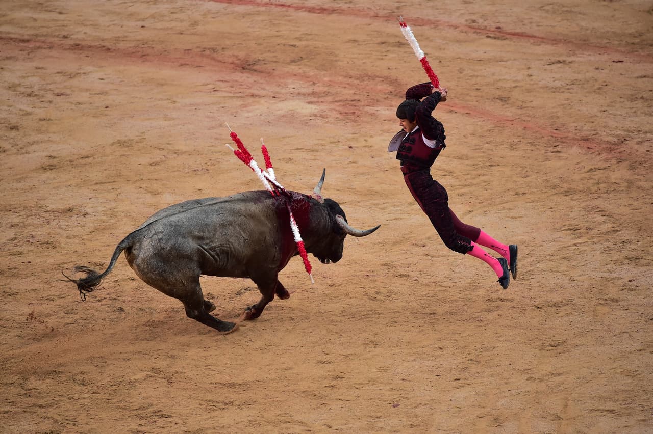 La prohibición de la tauromaquia n México podría ponerse a consulta ciudadana, según Andrés Manuel López Obrador, presidente de México.