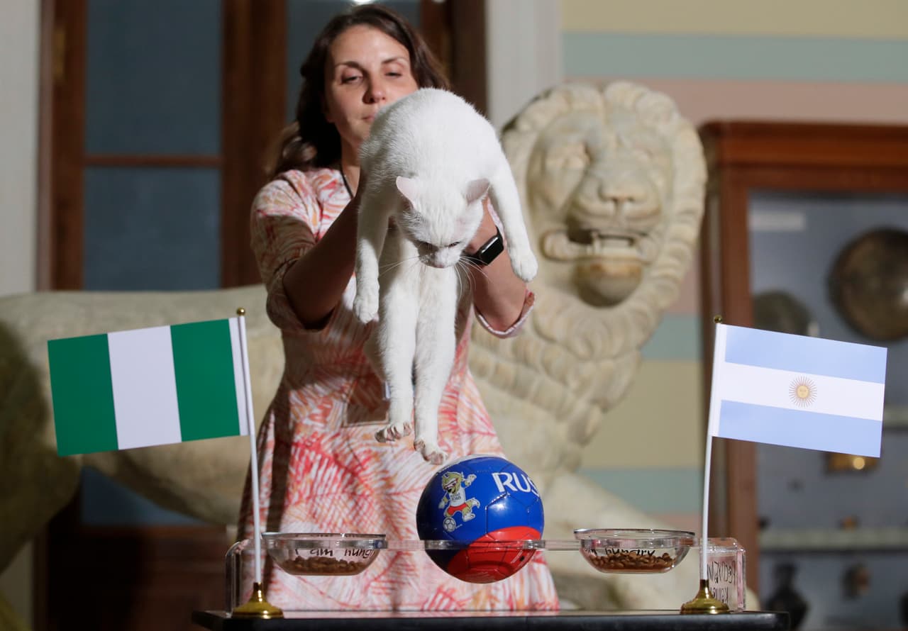 En lo que es una jornada normal de selección de Aquiles sobre cuál cree que será el ganador, su respuesta deja a muchos en medio del desconcierto por ser Argentina uno de los grandes.