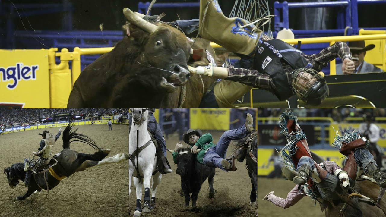 Las competencias finales de las Nacionales de Rodeo se disputan en el Thomas & Mack Center, donde los espectadores disfrutan del 1 al 10 de diciembre de la capacidad de los vaqueros para controlar a los animales, que también hacen su parte para mostrar que se requiere dureza para este ejercicio.