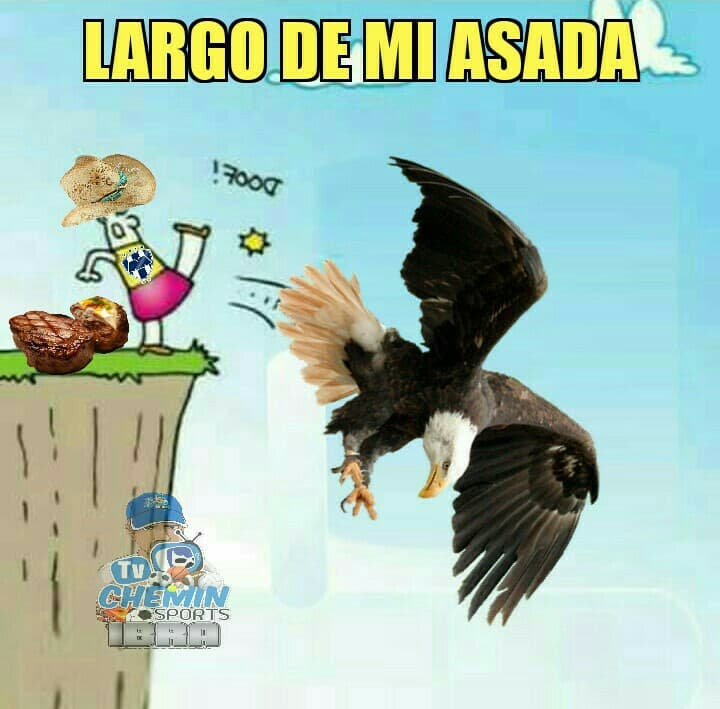 Cruz Azul, América y Pumas fueron las víctimas preferidas en las redes sociales tras la Jornada 15 del fútbol mexicano.