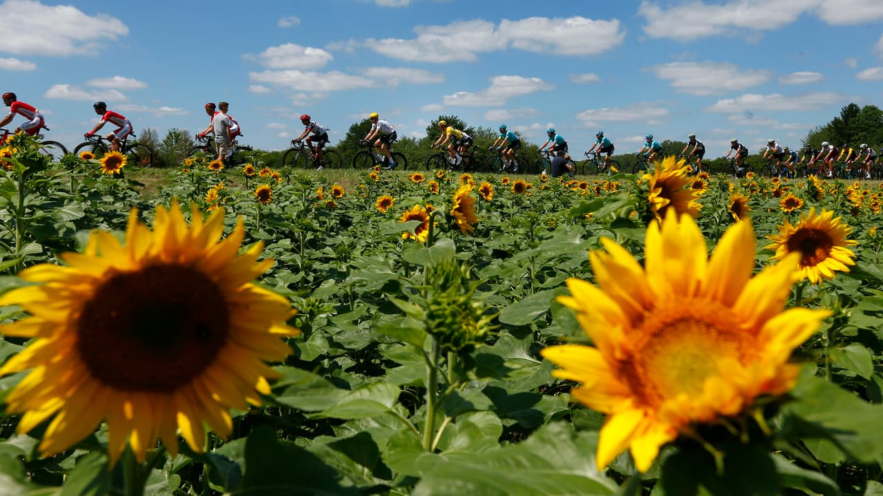 Los recorridos en Francia y sus países aledaños tienen el color a flor de piel en sus campos.