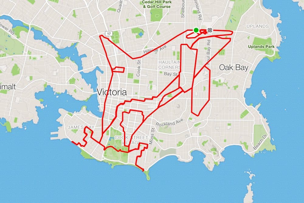 Fue por esa razón que decidió apagar y prender el dispositivo satelital en su celular para así poder crear trazos más exactos y crear imágenes maravillosas.