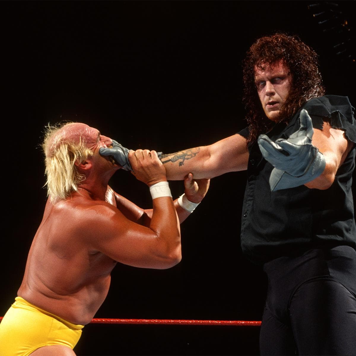 Grabó su segunda derrota en The Grandest Stage of Them All en WrestleMania 33 ante Roman Reigns.