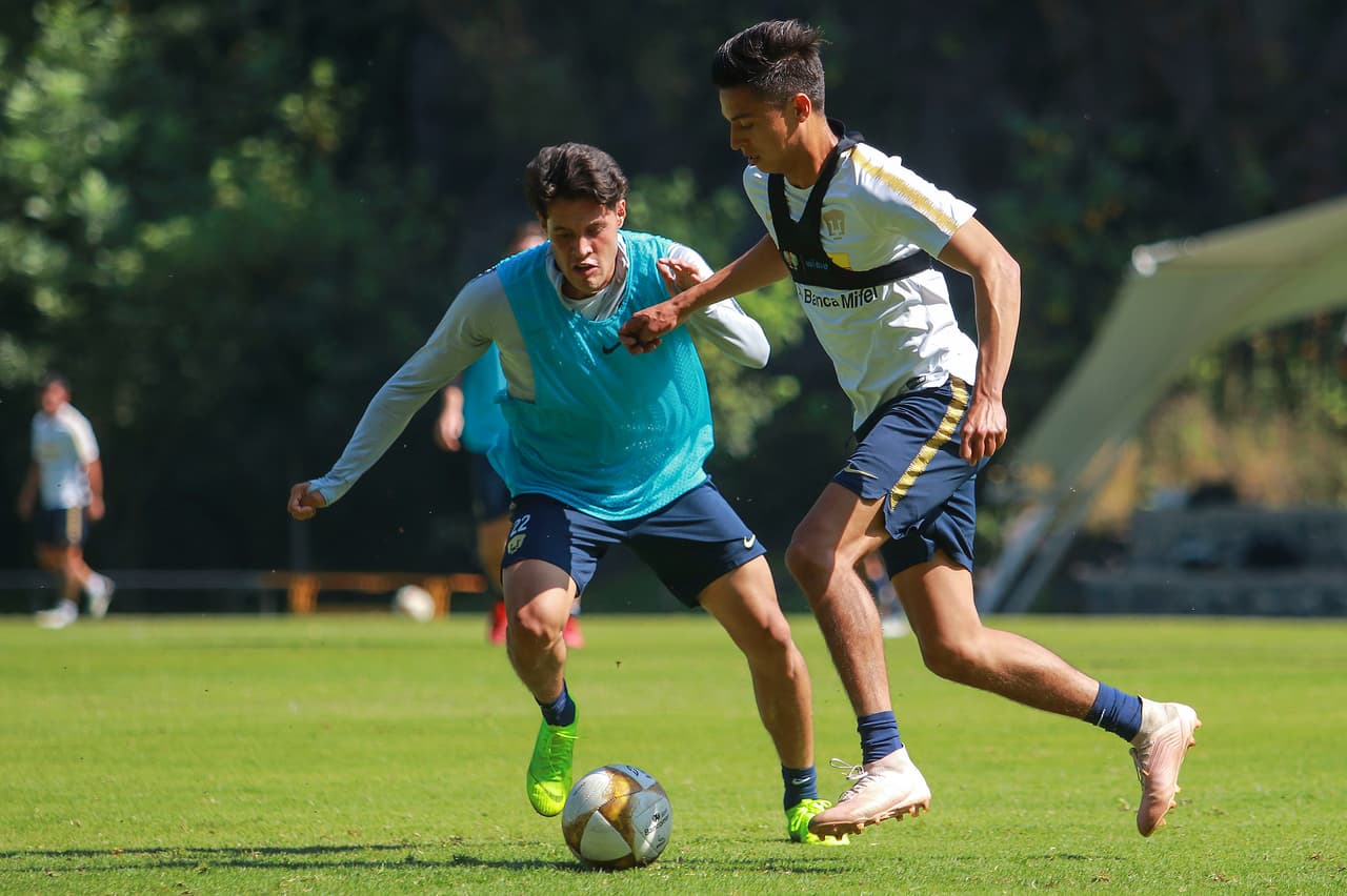 Pumas ganó 8 partidos, empató 6 y perdió 3 de los 17 juegos que disputó, lo que lo destacó en el Apertura 2018.