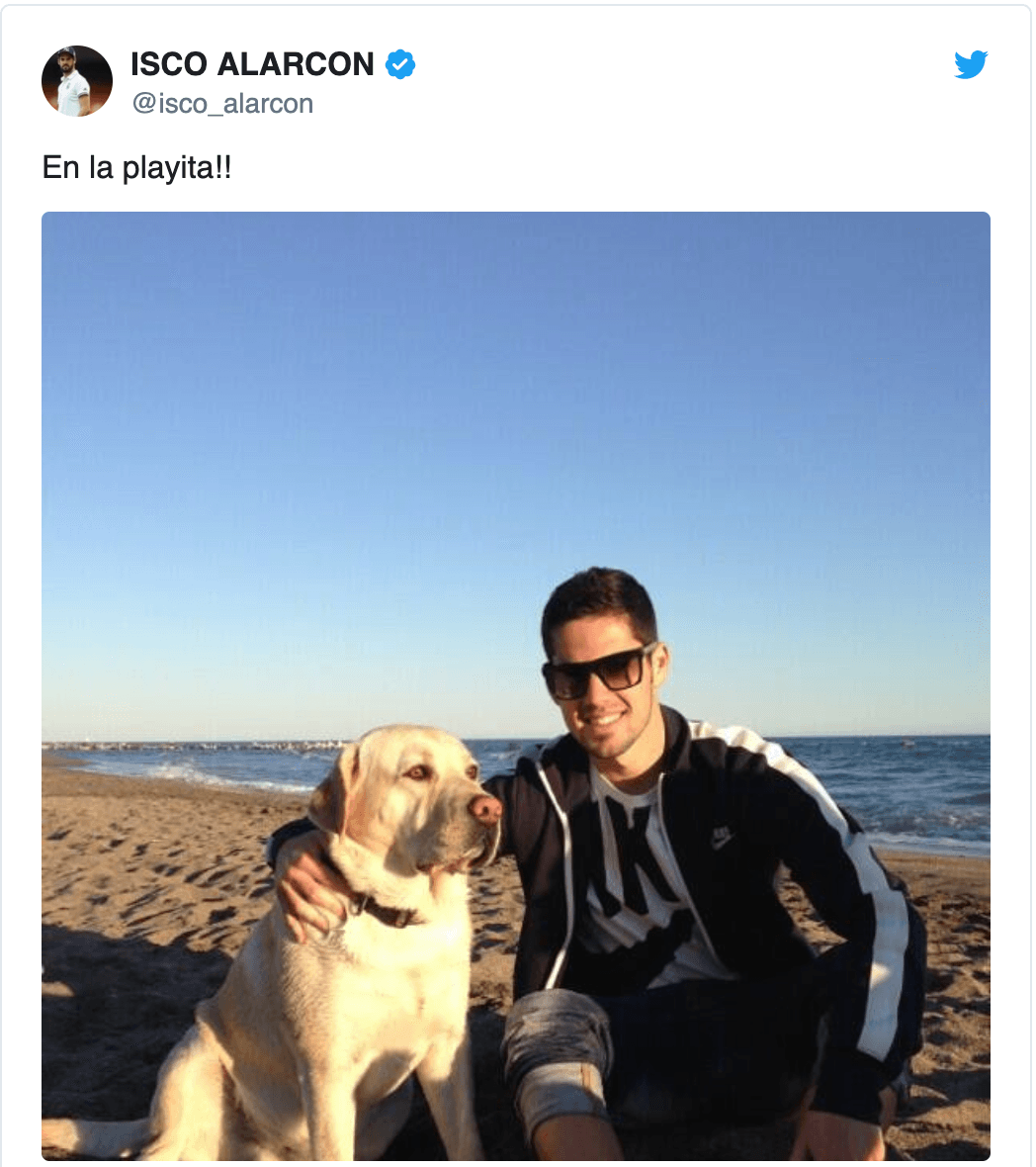 Isco Alarcón | Futbolista