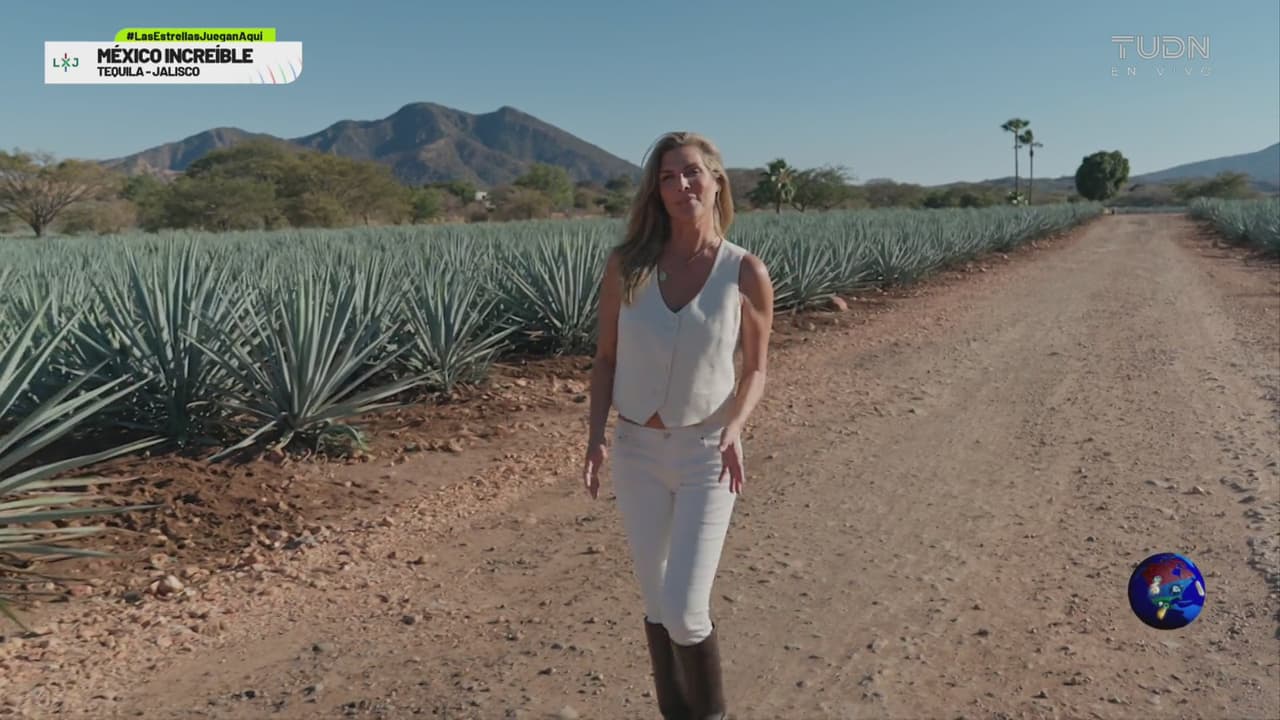 México Increíble: Tequila, Jalisco y la elaboración de esta bebida