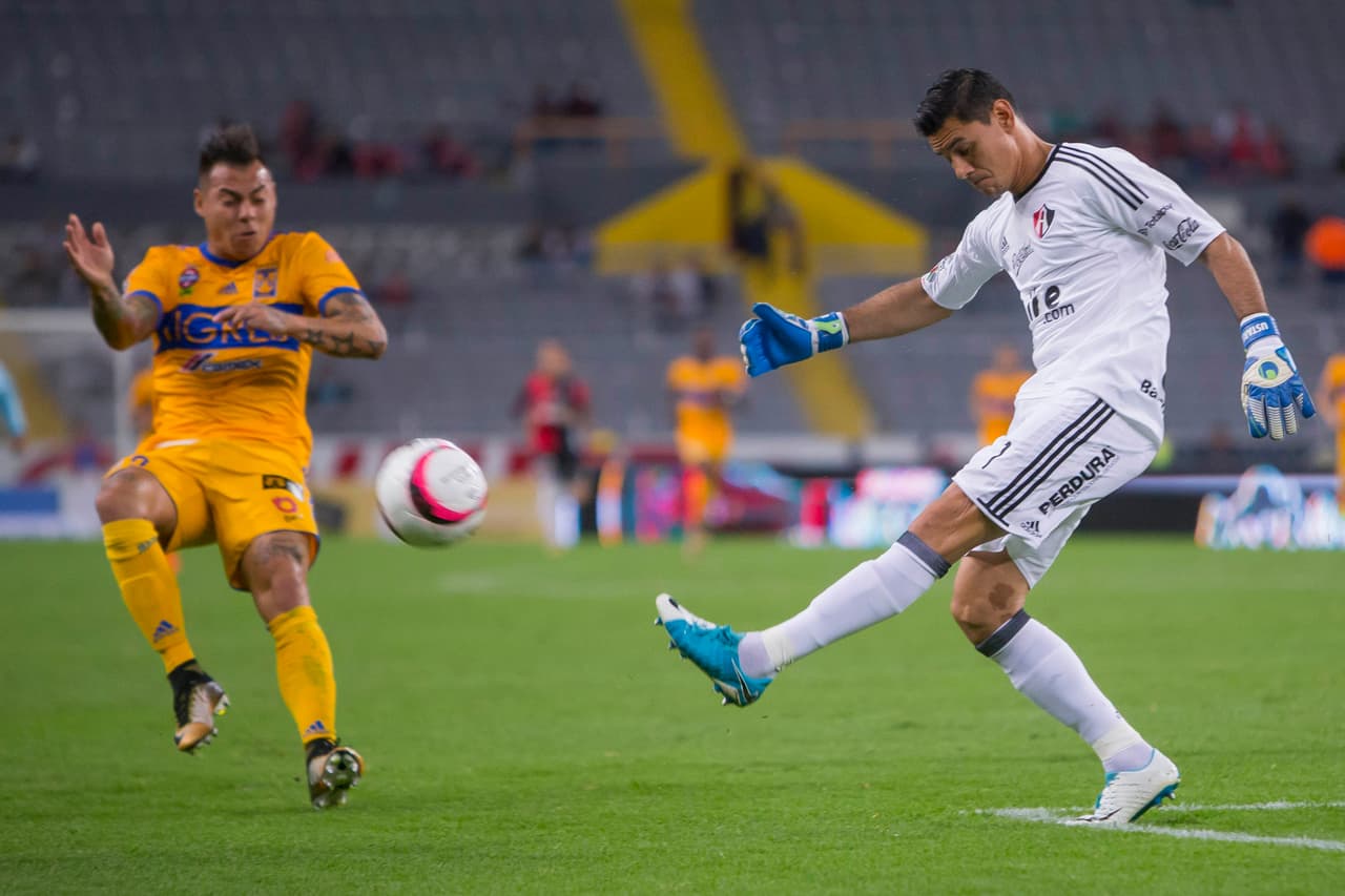 Tigres recibirá a los Rayos del Necaxa en su penúltimo encuentro del apertura 2017.