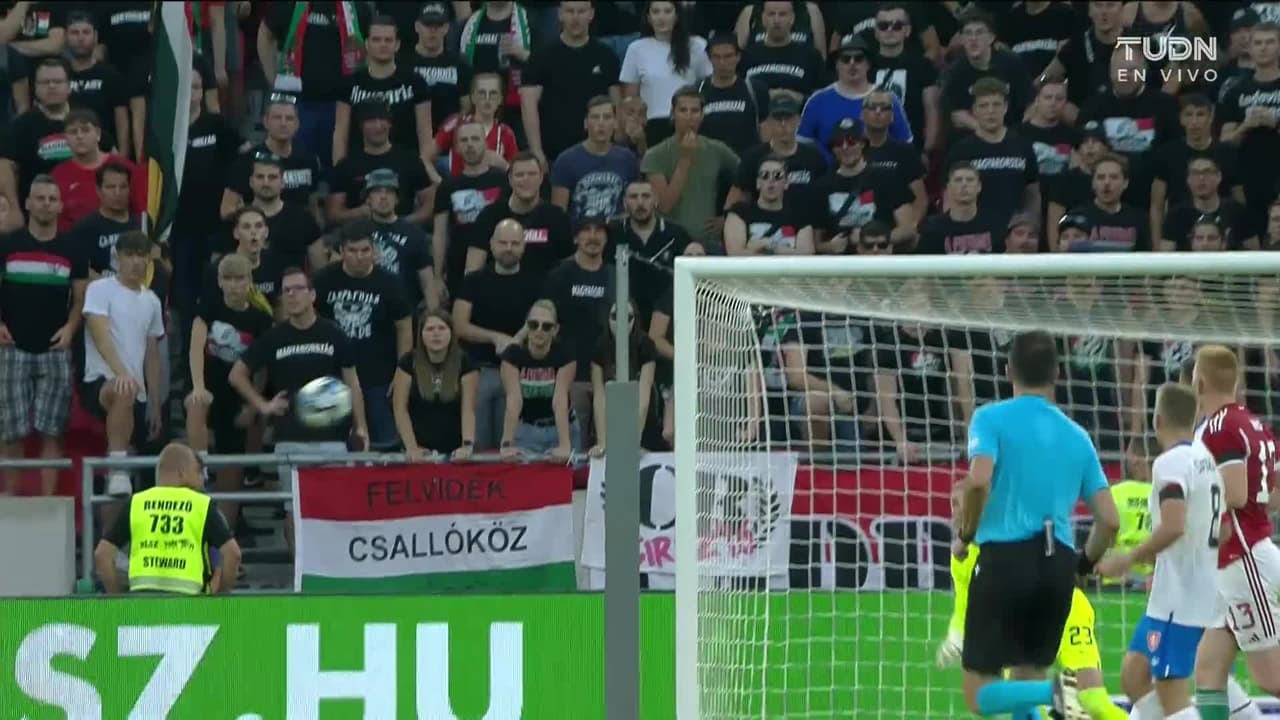 ¡TIRO ATAJADO! disparo por Attila Szalai.