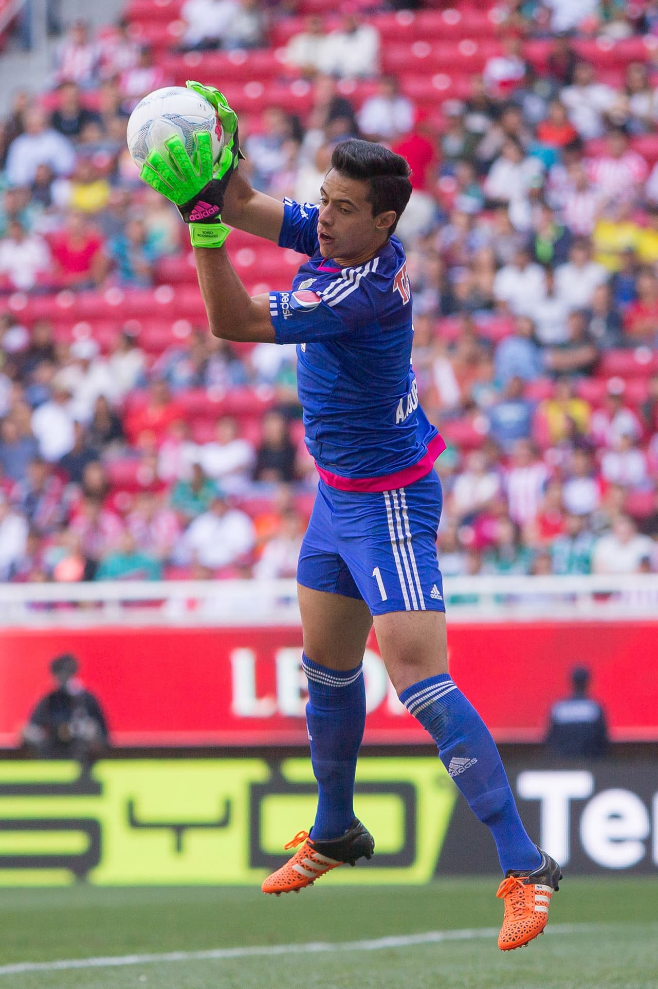 José Antonio Rodríguez, Chivas.- Salió mal por un balón en un tiro de esquina , chocando con un compañero de su equipo, impidiendo que pueda rechazar el esférico con un puñetazo, quedando el balón cómodamente a Boselli quien no dudo ni un minuto para rematar a la portería.
