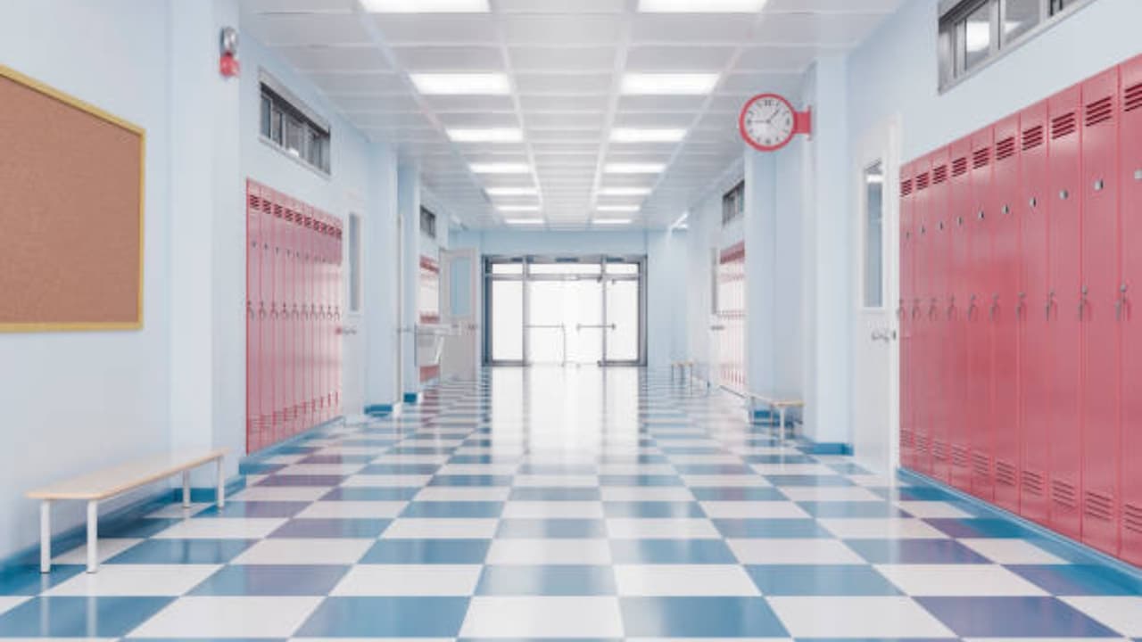 Cuatro niñas de primaria son acusadas de conspirar para asesinar a un compañero de clase en Arizona