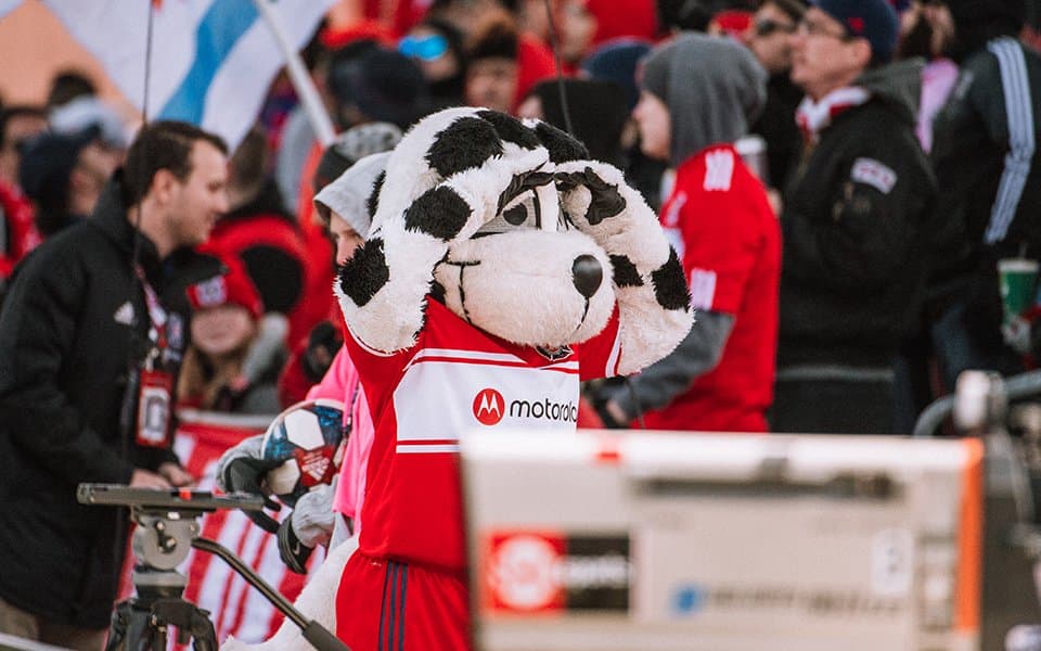 El SeatGeek Stadium es un lugar especial. ¿En qué otro estadio de MLS puedes conocer a una mascota tan adorable como 'Sparky'?