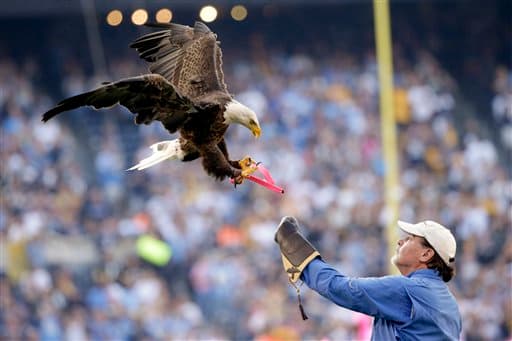 Los Steelers tuvieron triunfo en Lunes por la Noche de 24-20 sobre los San Diego Chargers, y estas fueron las imágenes del partido que cerró la jornada 5 de la NFL.