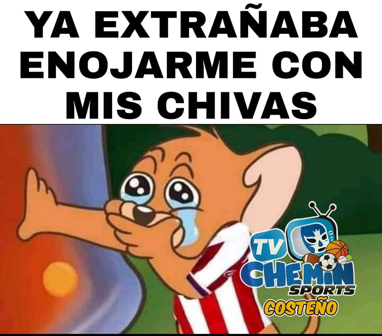 Cruz Azul sale campeón de la Copa GNP y los memes se abalanzan sobre chivas tras perder la final en penales.
