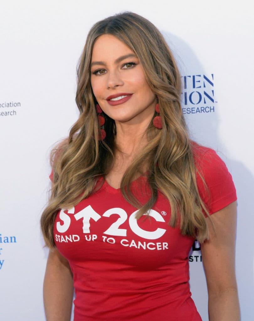 SANTA MONICA, CA - SEPTEMBER 07: Sofia Vergara attends Stand Up To Cancer marks 10 years of impact in cancer research at biennial telecast at Barker Hangar on September 7, 2018 in Santa Monica, California. (Photo by Michael Tullberg/Getty Images)