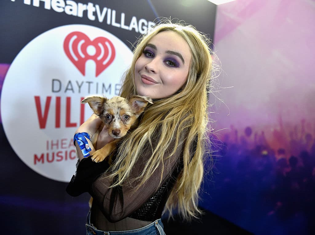 En 2014, Sabrina estrenó su primer sencillo ‘Can’t Blame a Girl for Trying’, junto al sello discográfico ‘Hollywood Records’.