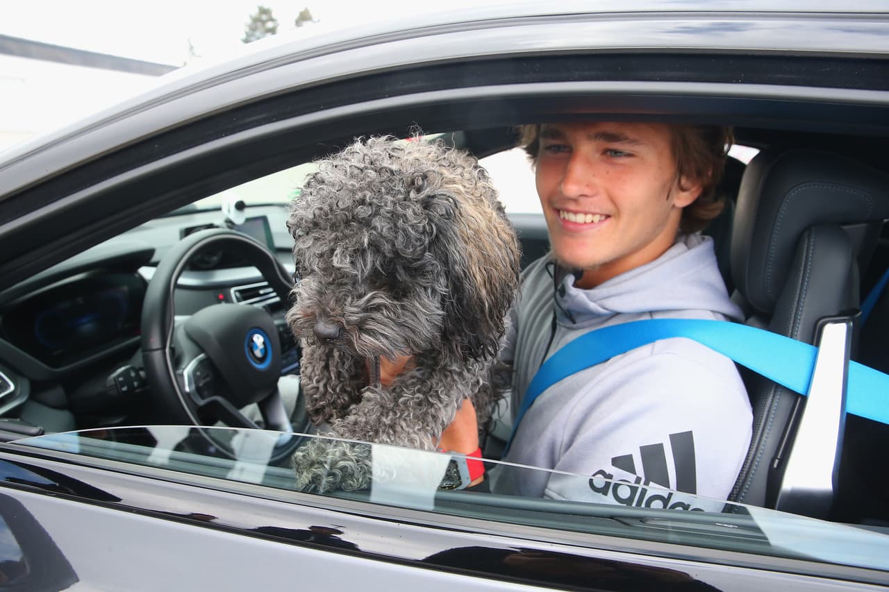 Este peludito llamado 'Loewik' acompaña a todos lados al tenista alemán
<b> ALEXANDER ZVEREV.</b>