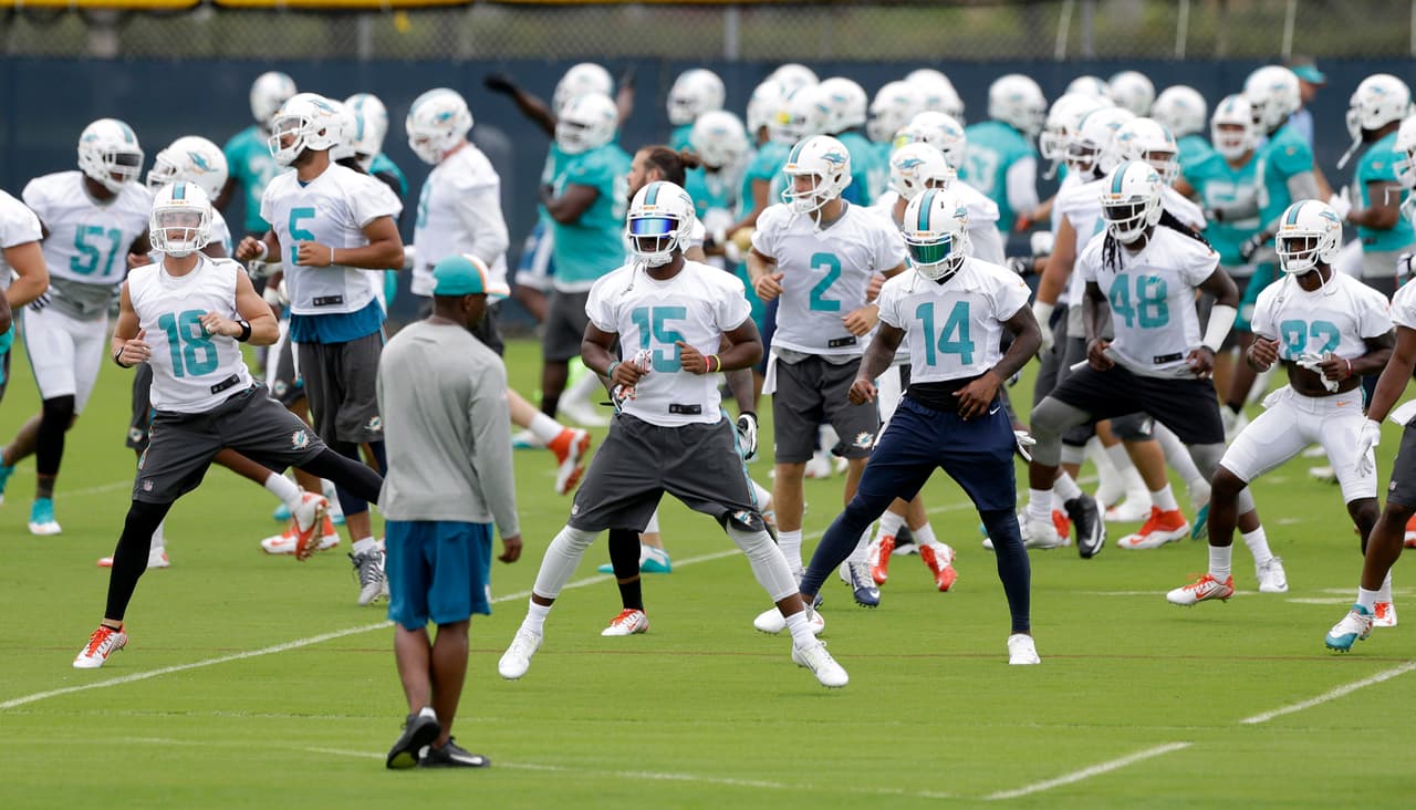 Miami Dolphins players perform drills during practice at the team's NFL football training facility, Monday, June 6, 2016, in Davie, Fla. (AP Photo/Alan Diaz)