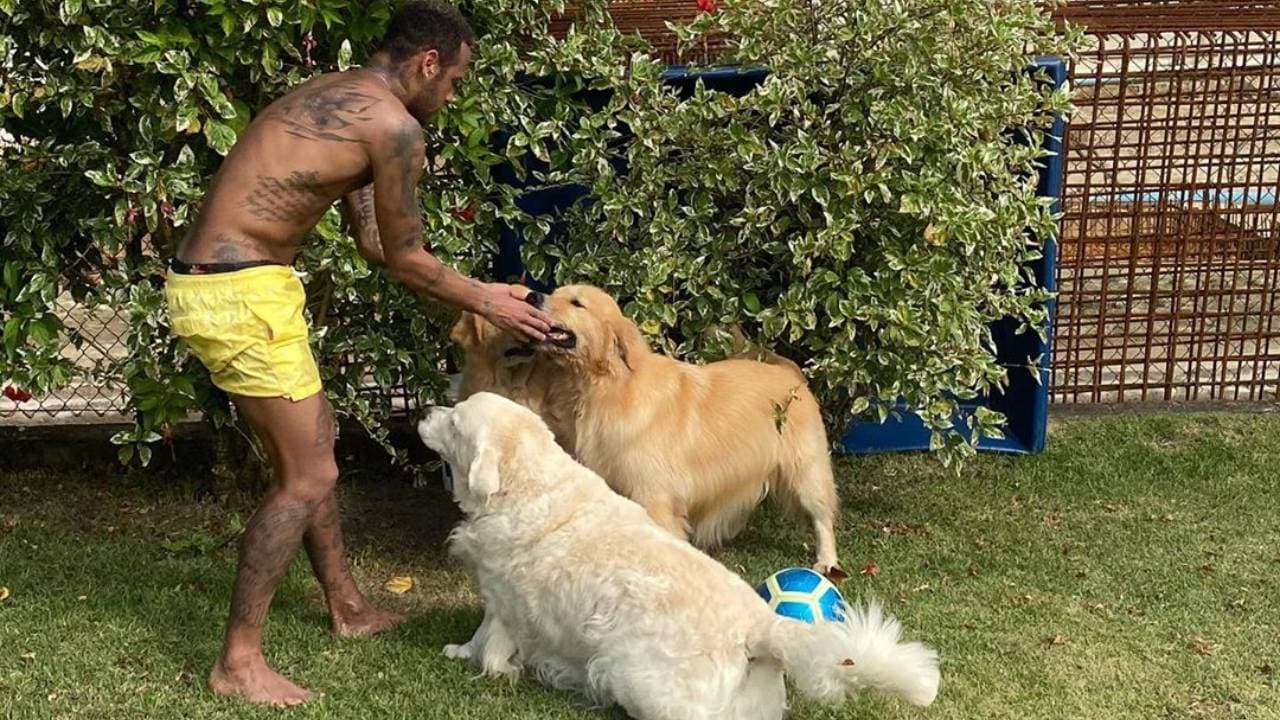 Jugar futbol, el póker y los perros son sus principales aficiones.