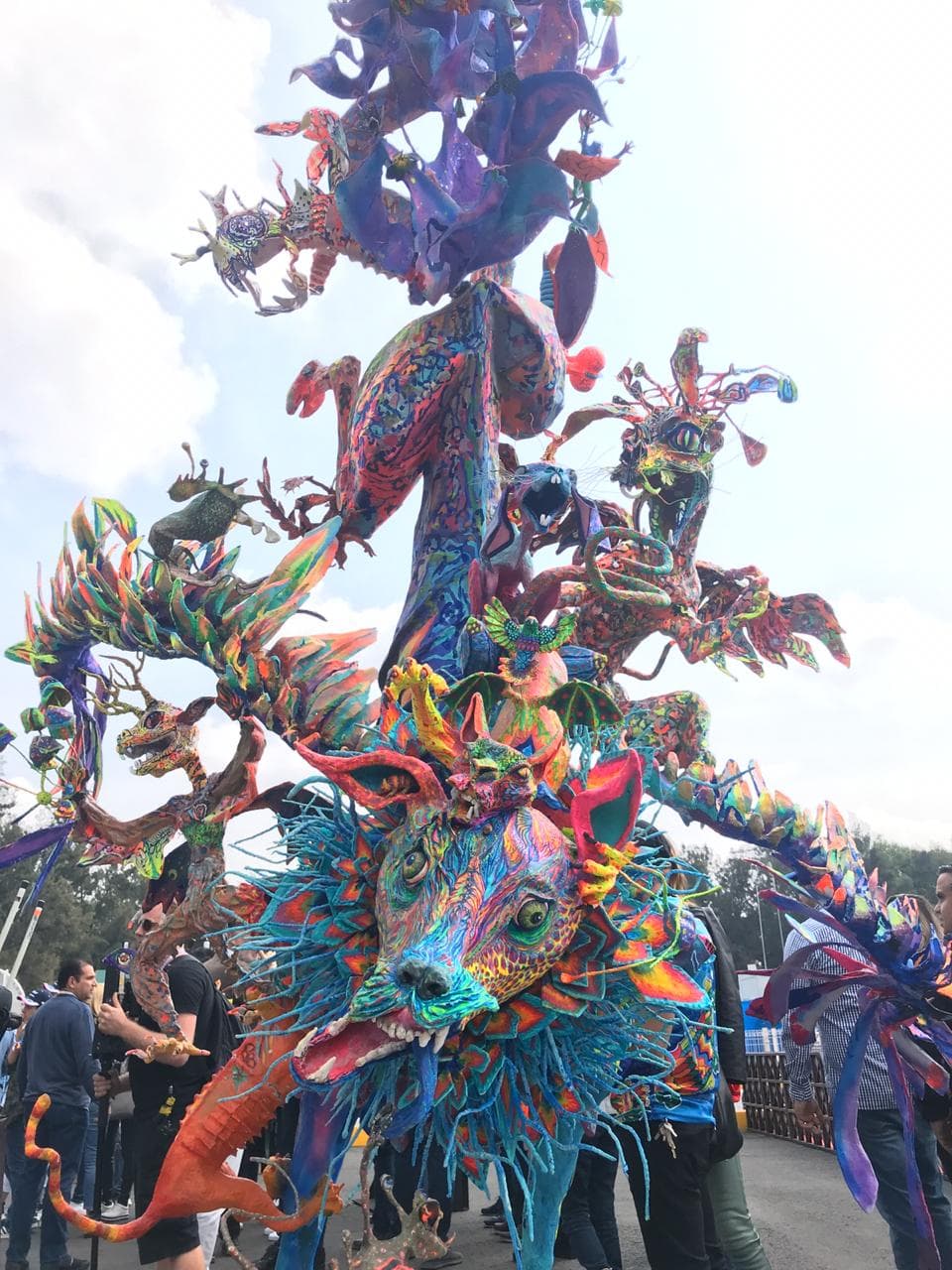 Color de las clasificatorias del GP de México.