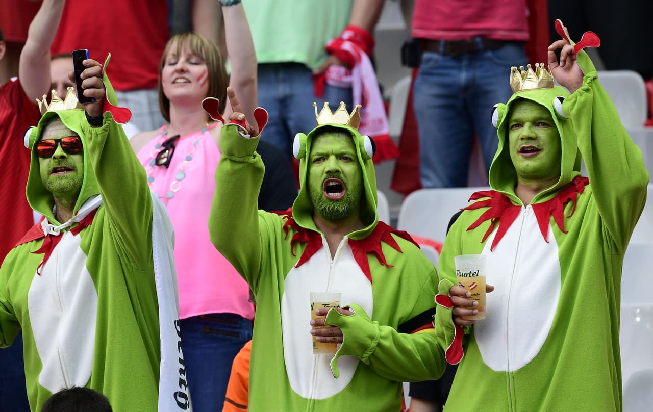 No estamos seguros de a quién apoyaban estas ranas, pero la Eurocopa tiene un espacio para todos.