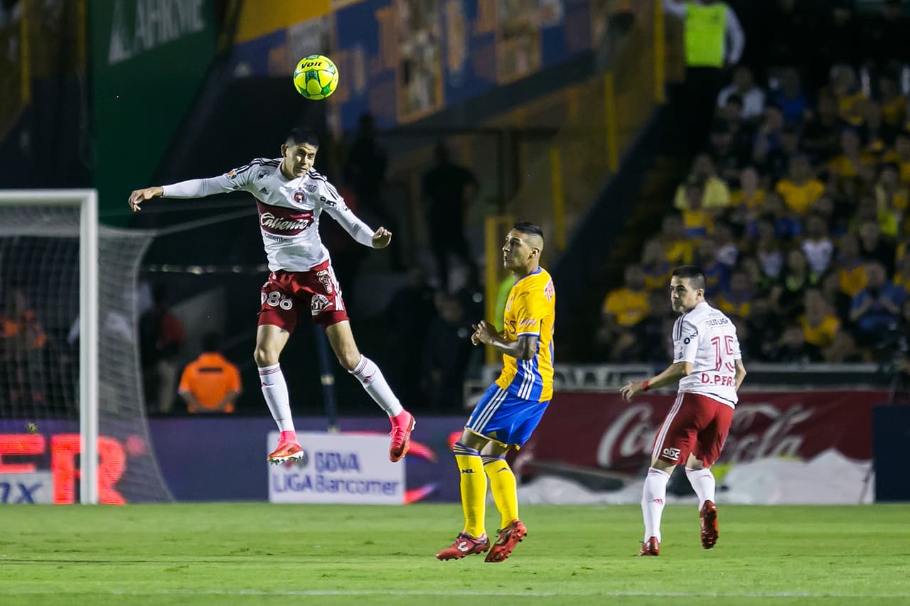 Vargas proviene de la cantera de Xolos de Tijuana, de donde Herrera lo llevó al Nido de Coapa.