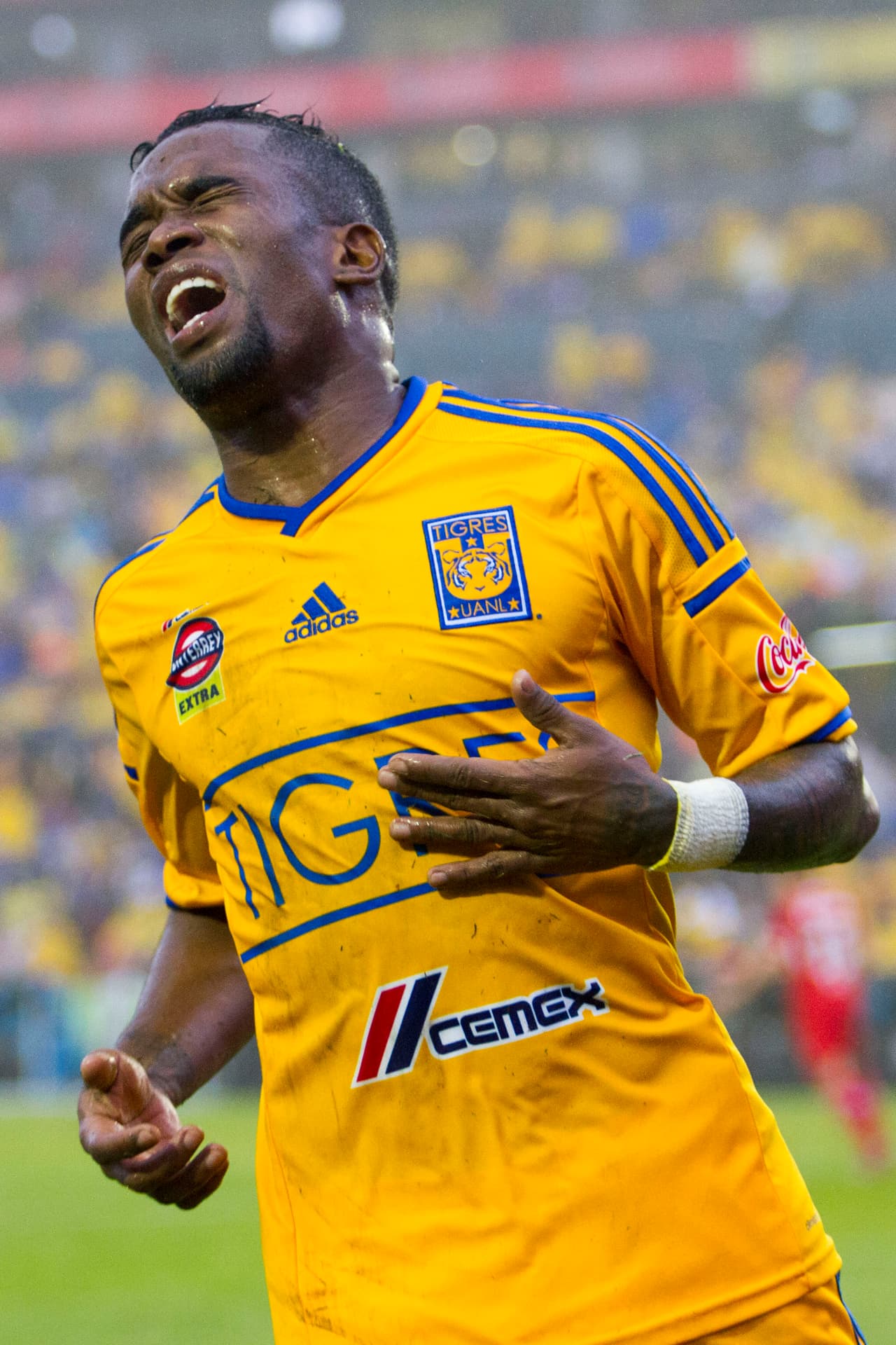 León compró a Darío Burbano del Deportivo Cali por un millón de dólares. Y seguramente hizo negocio con su venta a Tigres tras salir campeón de la Liga MX en el Apertura 2013.