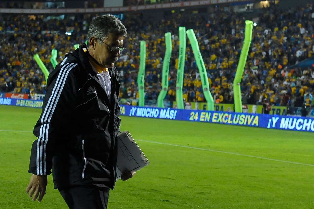 Se integró a las fuerzas básicas del Botafogo a los 12 años en 1966 y desde entonces ha estado liga de manera ininterrumpida con el fútbol.