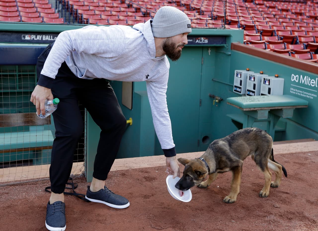 Rick Porcello lucía relajado la mañana del domingo en Fenway Park, incluso se dio la oportunidad de llevar al terreno de juego a su cachorro.