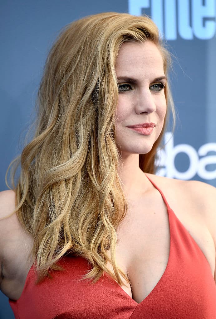 Pero después regresó a Hollywood con papeles notables y aclamados por la crítica en programas como Veep y Halt and Catch Fire.