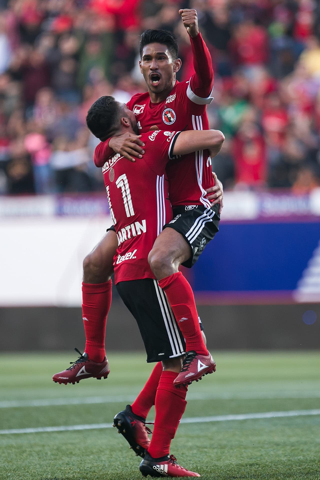 Xolos enfrentará a unos muy peligrosos Tigres en las semifinales del Clausura 2017.