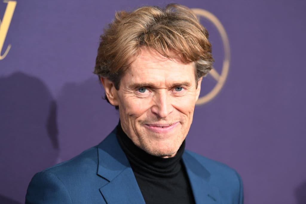 La historia trata sobre el robo y la recuperación de una pintura renacentista de valor incalculable y sobre la batalla que enfrenta a los miembros de una familia por una inmensa fortuna. Como telón de fondo, los levantamientos que transformaron Europa durante la primera mitad del siglo XX.
<br>