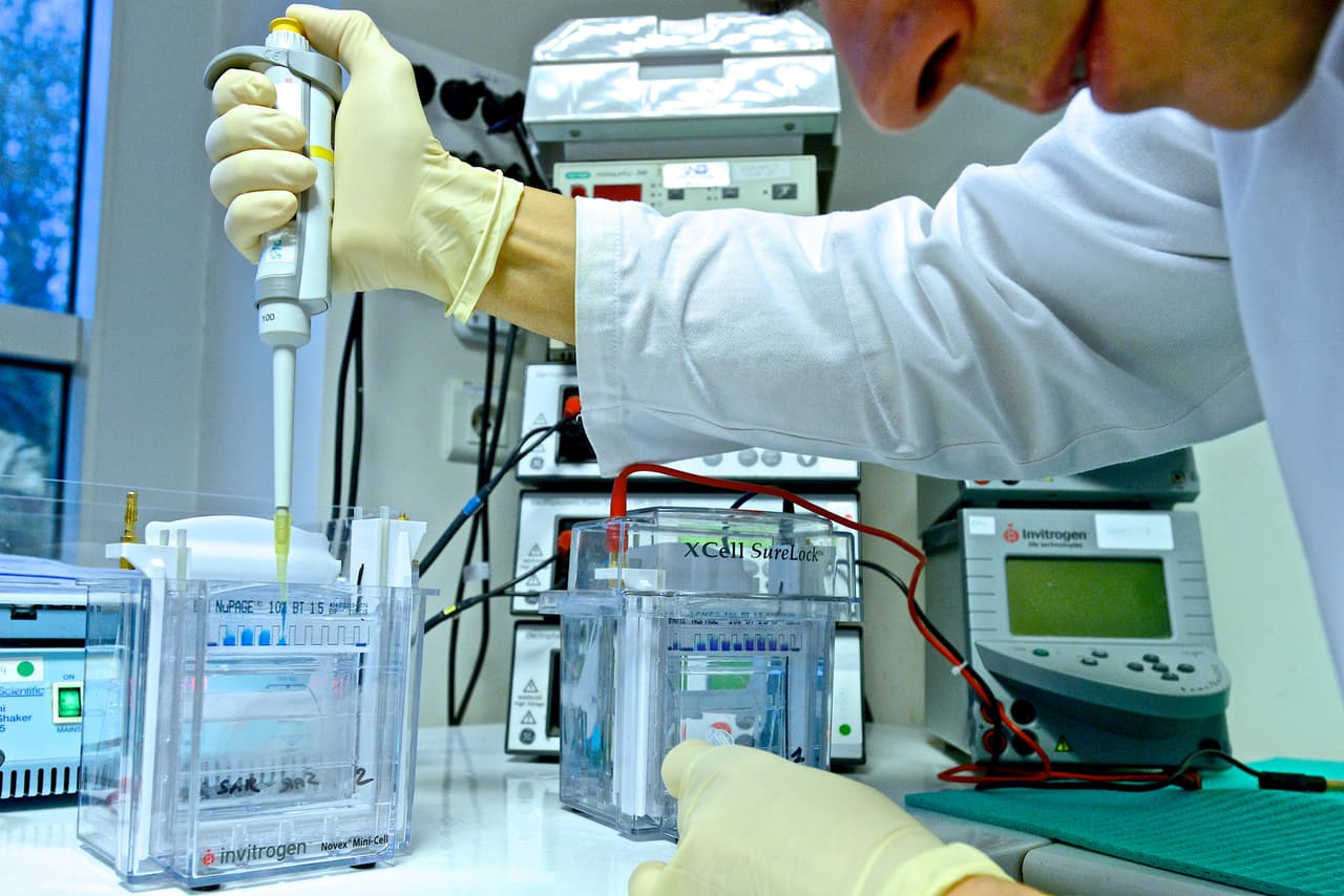 FIFA informa que todos los controles en Copa Confederaciones dieron negativo