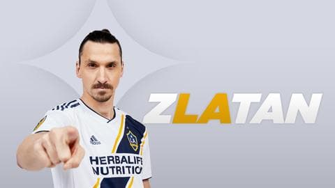 Hasta el Fondo | El verdadero Rey León