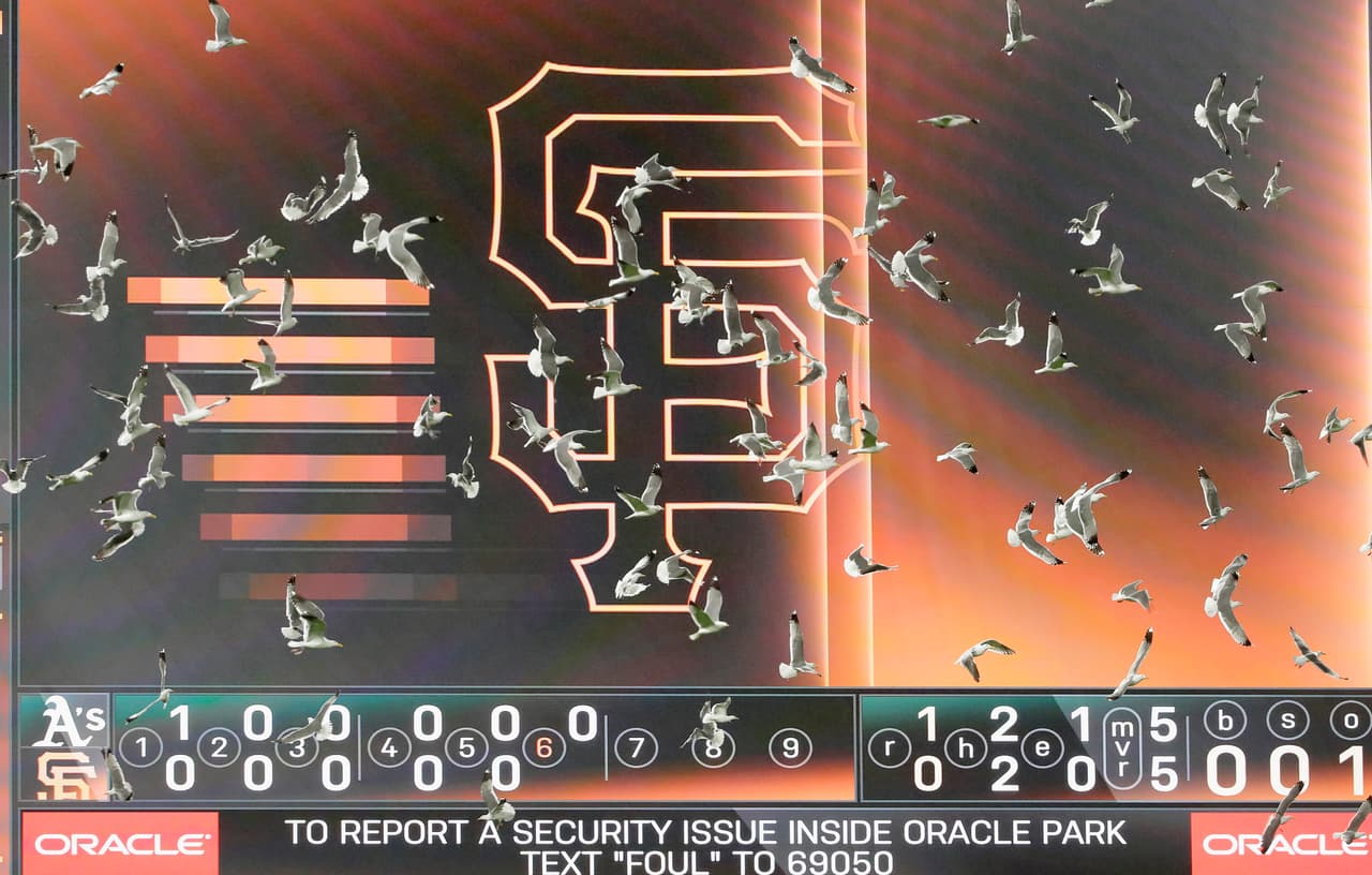 San Francisco Giants usarán fotos de fans en el Oracle Park 