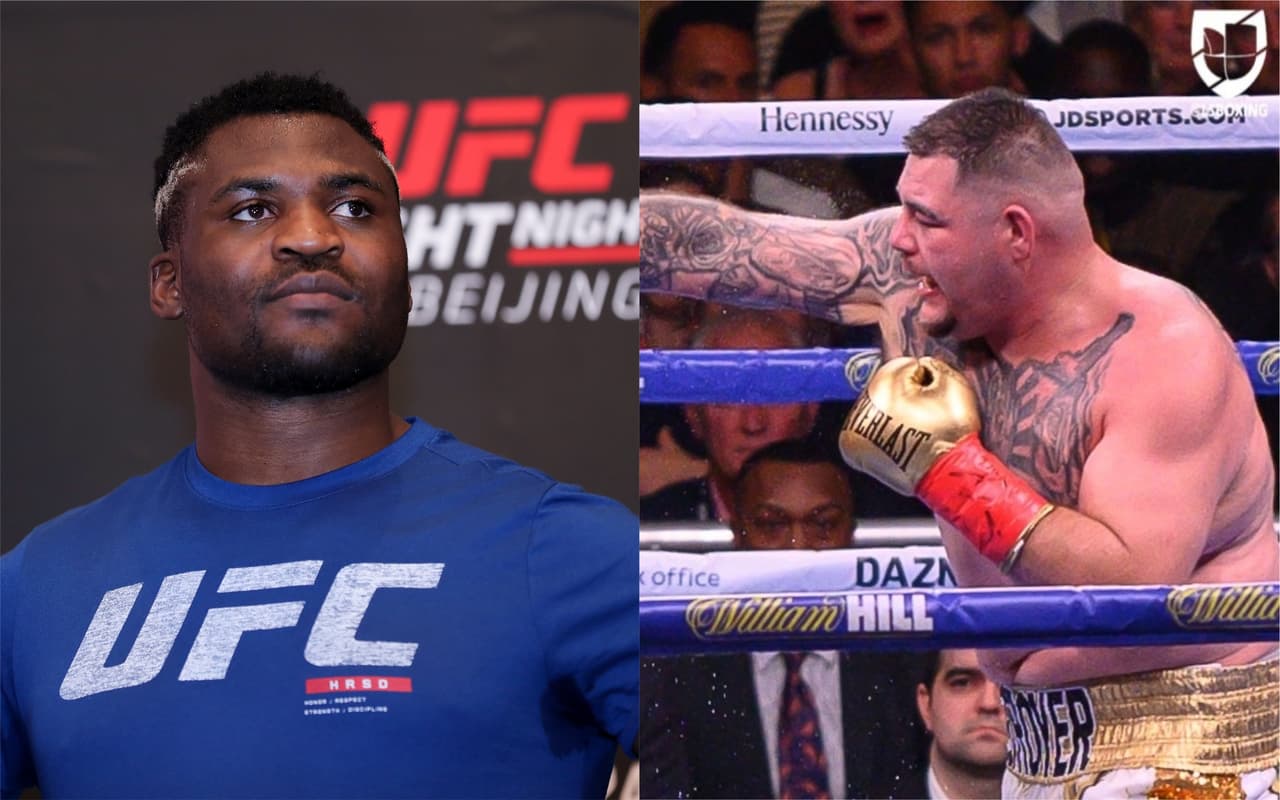 Francis Ngannou / Andy Ruiz Jr.