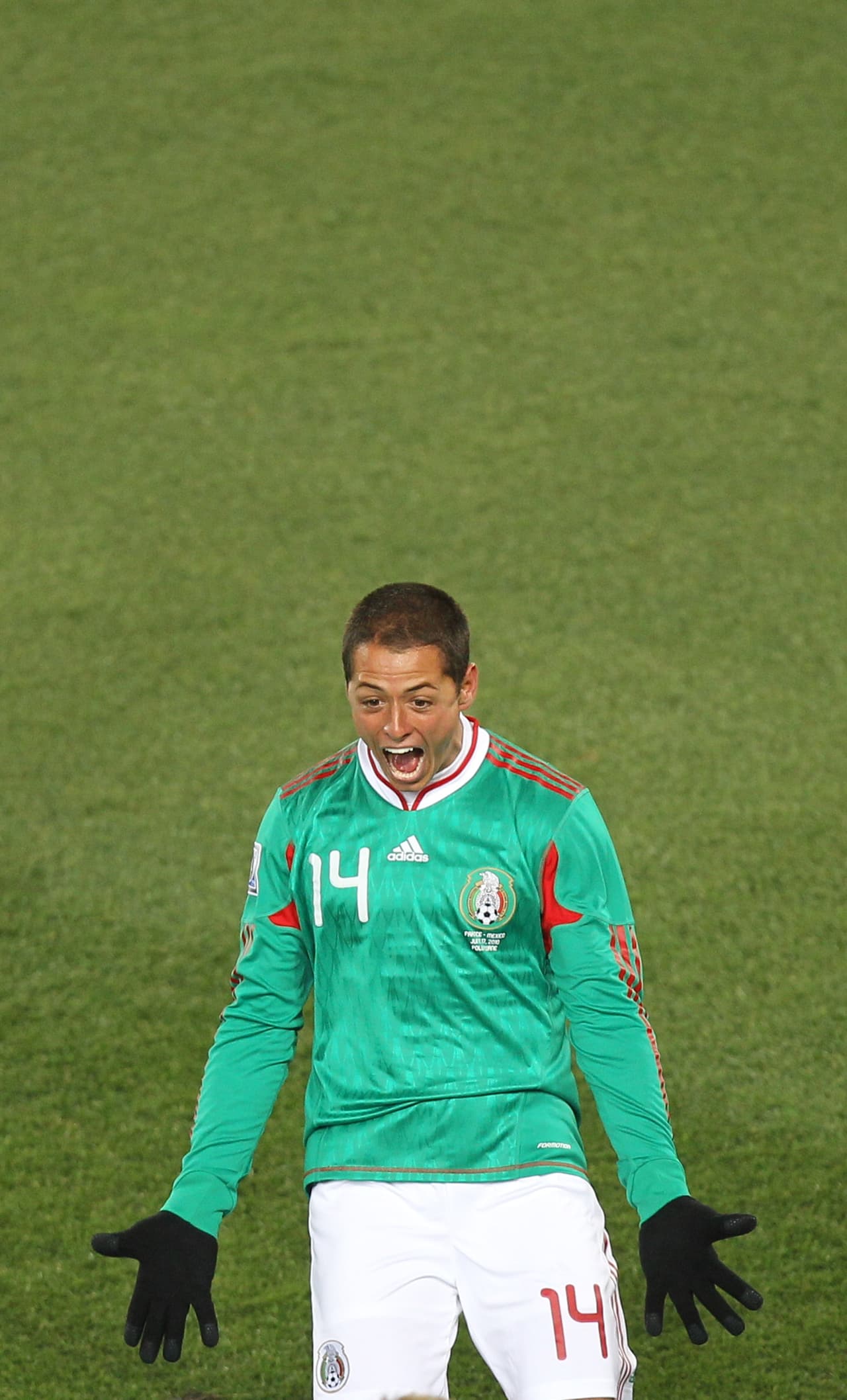 'Las armas nacionales se han cubierto de gloria'.