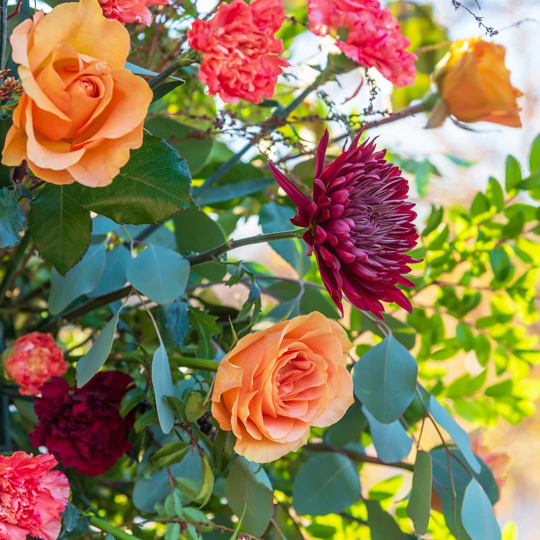 El espectáculo de flores más grande de Estados Unidos se lleva a cabo en Filadelfia y esto debes saber