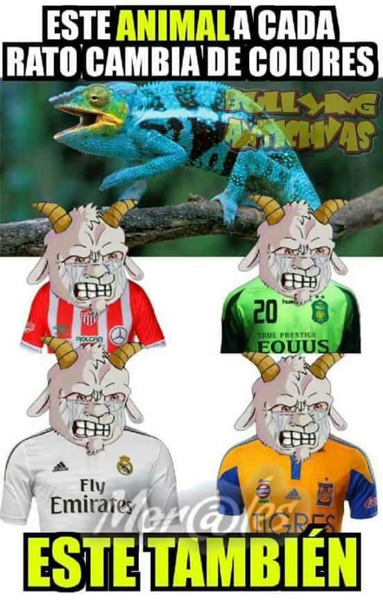 Memes américa vs. real madrid