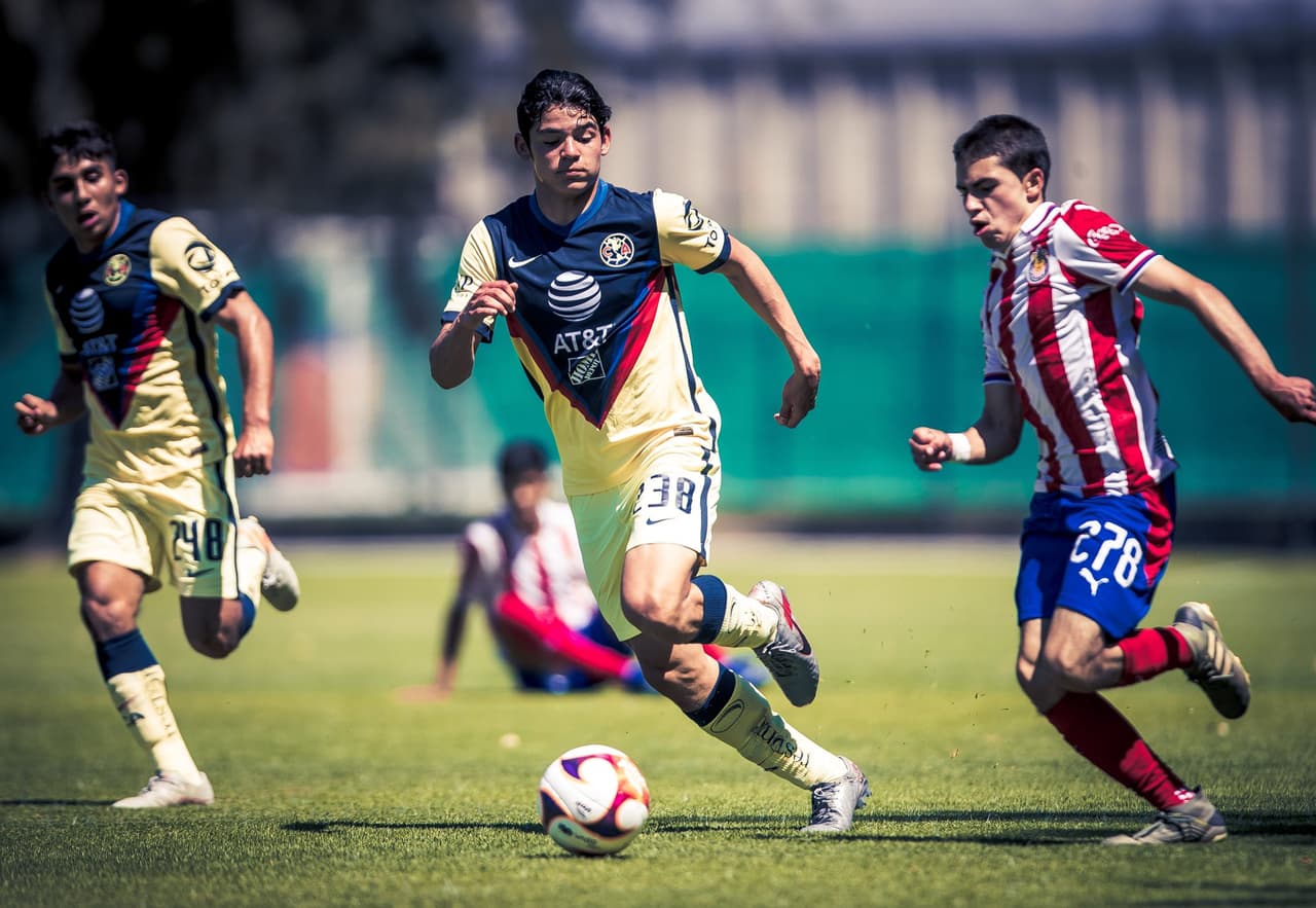 Las fuerzas básicas en la Liga MX tienen proyecto interesante.