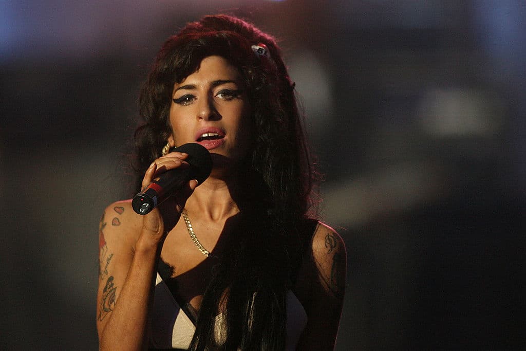 Mitch Winehouse, ha enfrentado críticas en los medios por la lucha y la situación de la cantante.