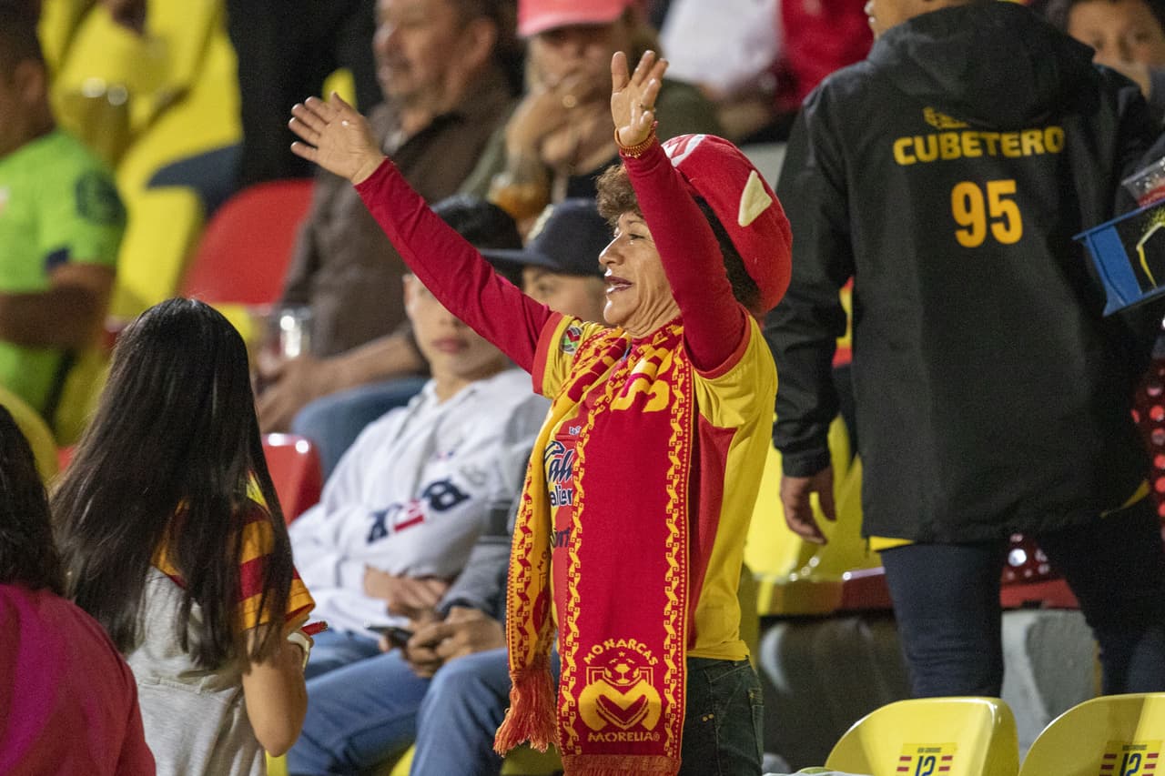 Aficionados convocan a marcha para evitar desaparición de Monarcas